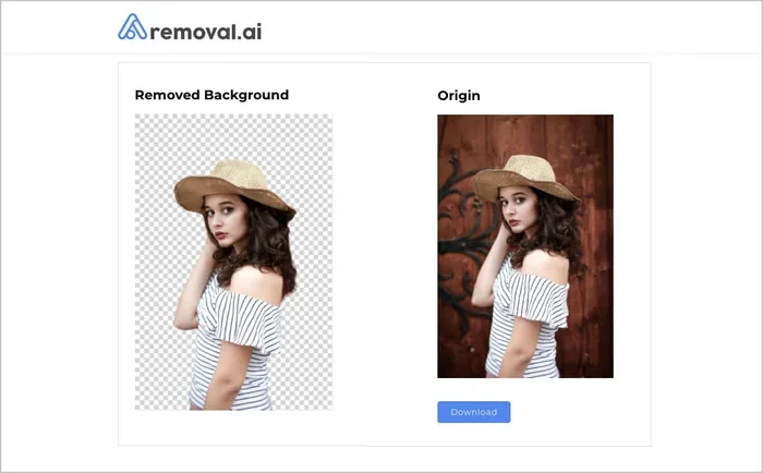 Best AI Tool To Remove Background From Video For You