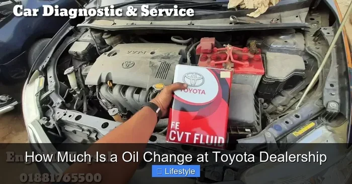 How Much Is Oil Change at Toyota Dealership Cost